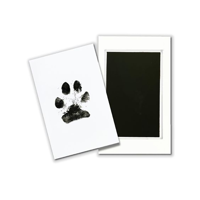 Zestaw atramentu do odcisków ł – Footprint Ink Kit recenzja i cena